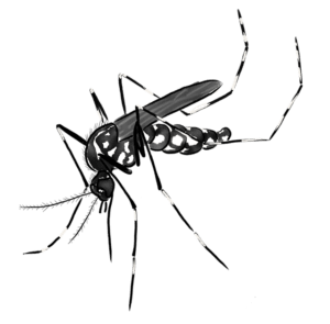 sposoby na komary